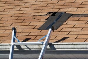 Read more about the article How to Spot Signs of Wind Damage on Your Roof