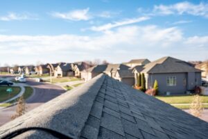 Read more about the article Environmentally Friendly Roofing Options