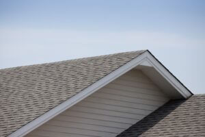 Read more about the article Fun Facts About Roofing