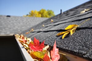 fall roof maintenance