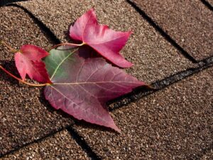 Read more about the article Fall Roof Maintenance Tips: How to Prepare Your Roof for Fall