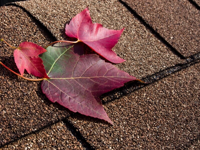You are currently viewing Fall Roof Maintenance Tips: How to Prepare Your Roof for Fall