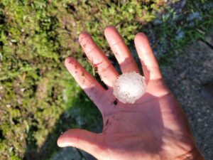 How to know if your roof has hail damage