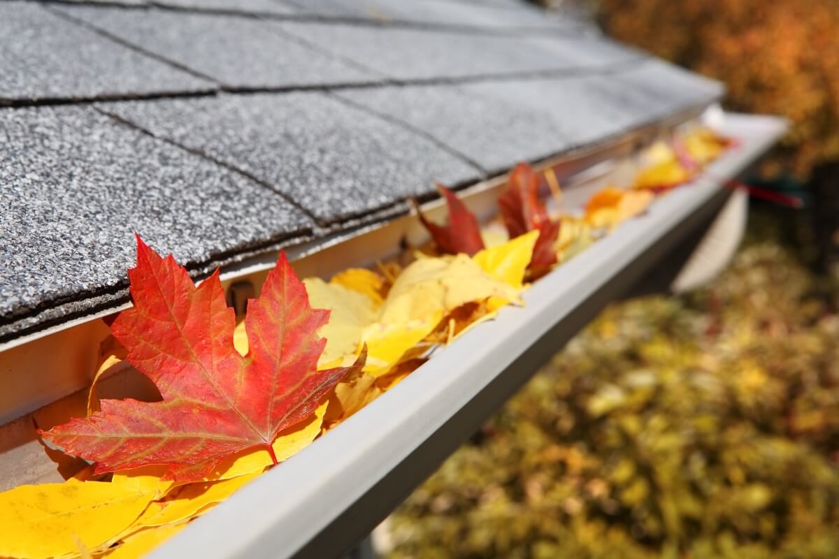 Read more about the article Fall Roof Maintenance Tips